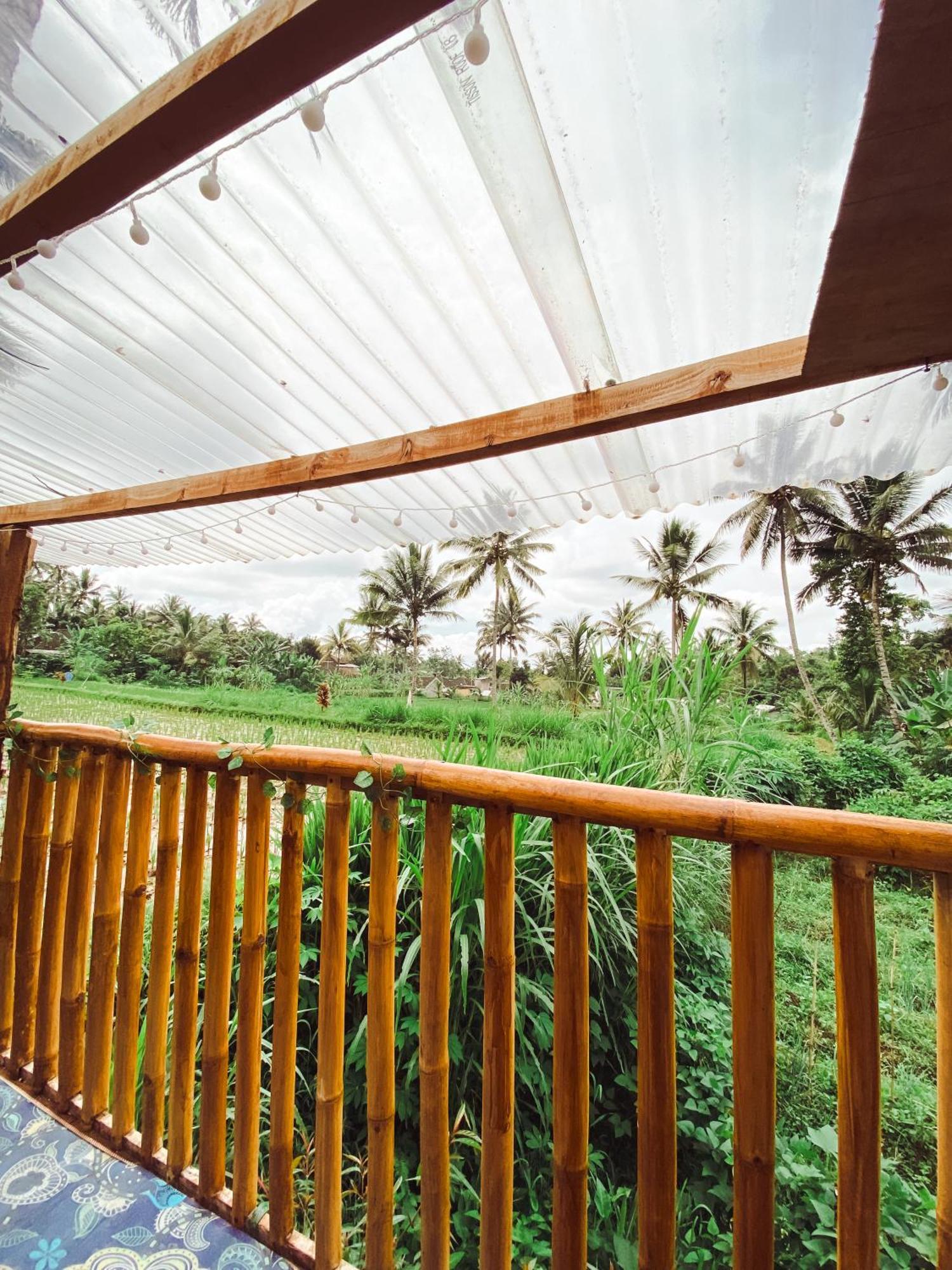 Hébergement de vacances Bamboo House- *
