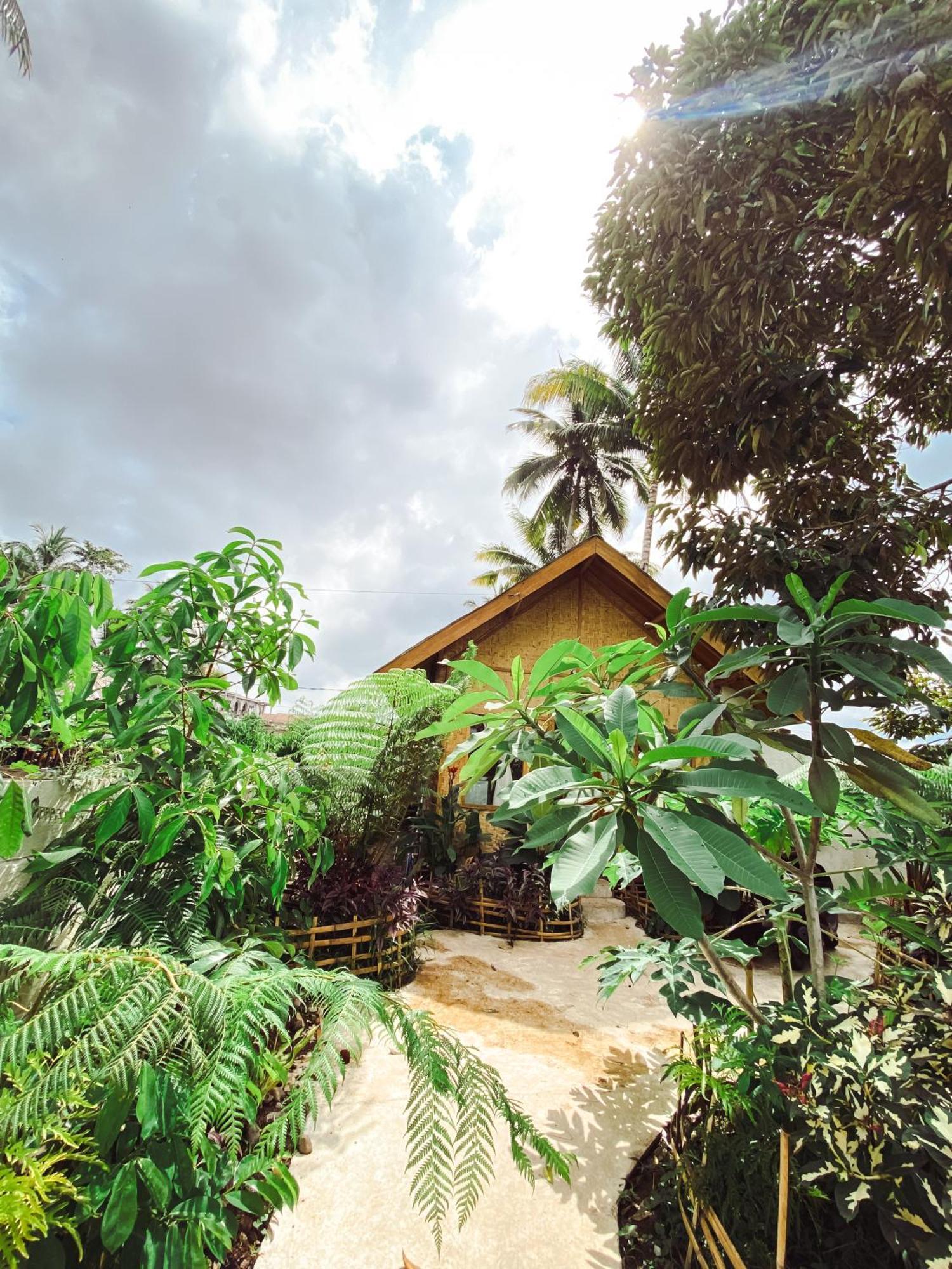 Bamboo House- Tetebatu